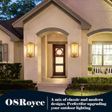 21" Large Gold Outdoor Wall Lantern, IP65 Waterproof Modern Porch Light